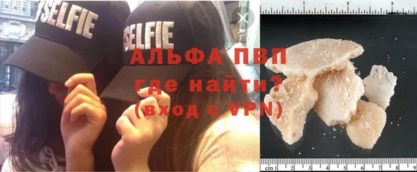 дмт Абаза