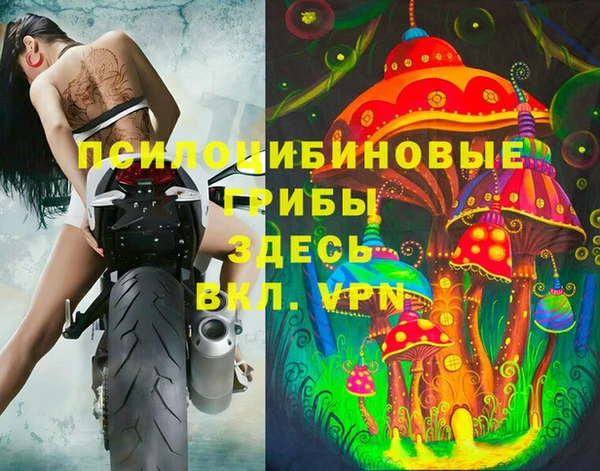 СК Абинск