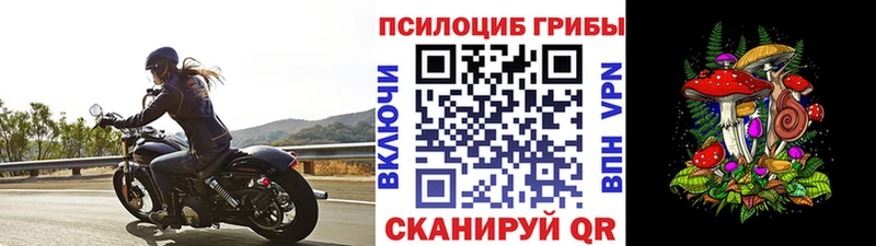 Псилоцибиновые грибы прущие грибы  Новомичуринск 